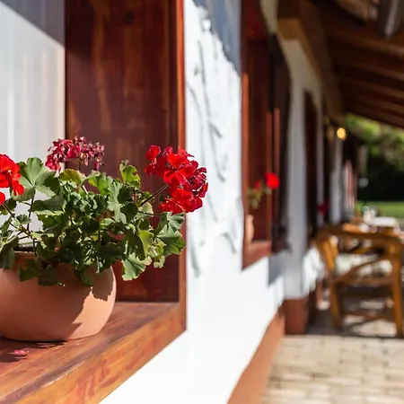 Appartamento The Bird Of Happiness - Happy