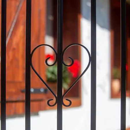 The Bird Of Happiness - Happy * Nemesbükk