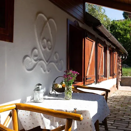 The Bird Of Happiness - Happy