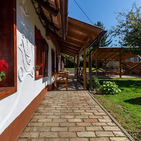 The Bird Of Happiness - Happy *