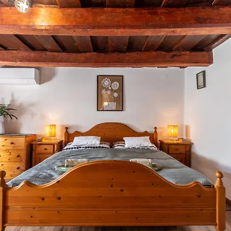 The Bird Of Happiness - Happy *