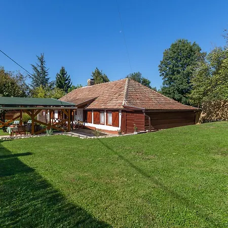 The Bird Of Happiness - Happy Nemesbükk