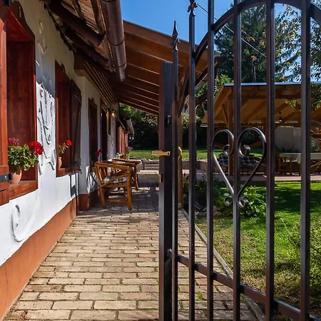 The Bird Of Happiness - Happy *