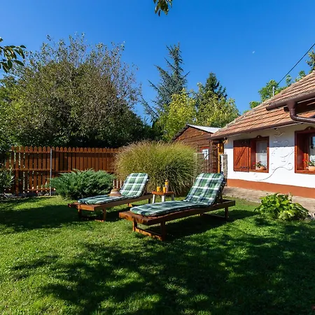 The Bird Of Happiness - Happy Nemesbükk