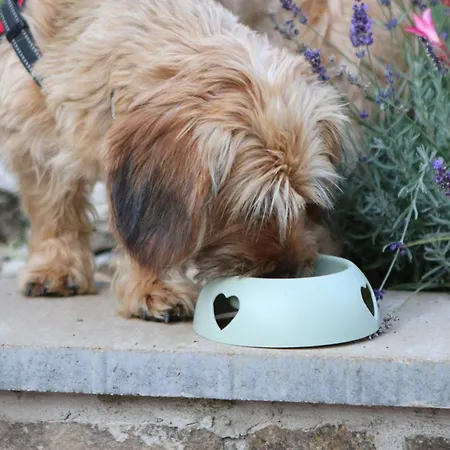 The Bird Of Happiness - Happy Appartamento *