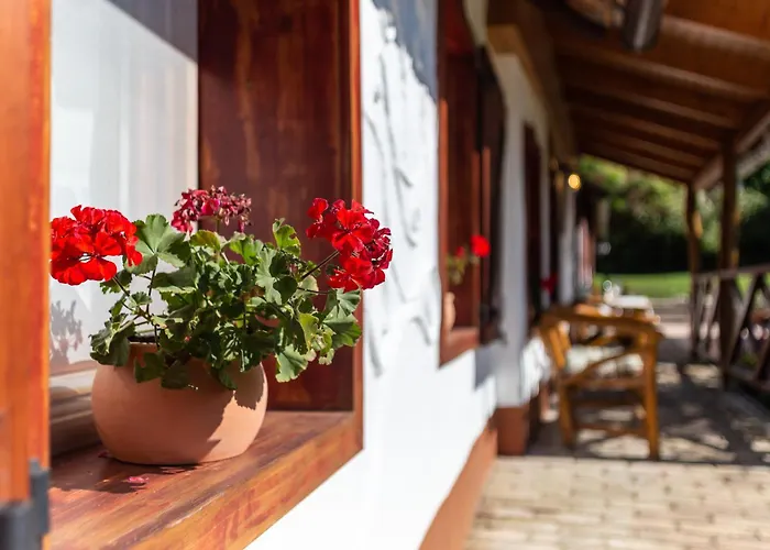 דירה The Bird Of Happiness - Happy