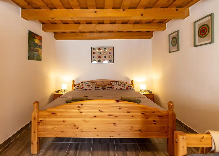 The Bird Of Happiness - Happy Nemesbükk