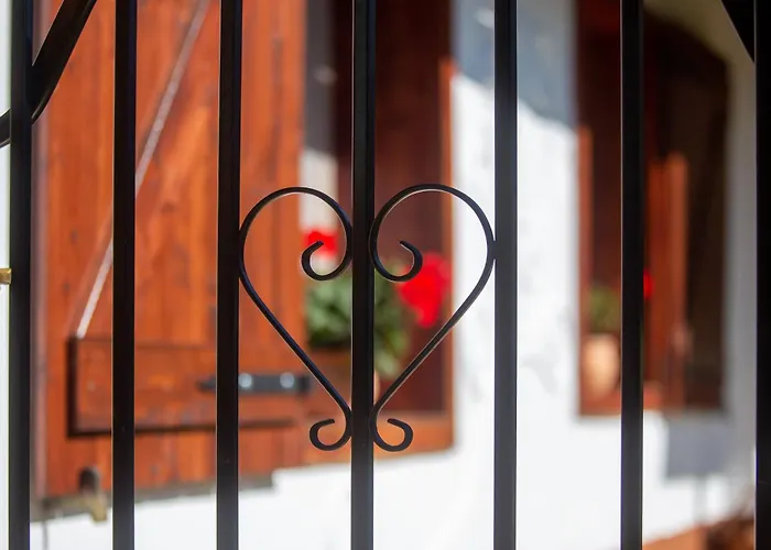 The Bird Of Happiness - Happy * Nemesbükk