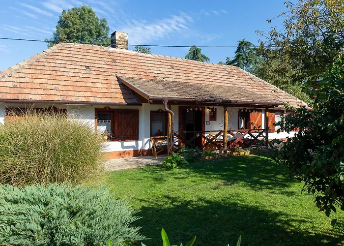 The Bird Of Happiness - Happy Nemesbükk