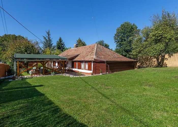 The Bird Of Happiness - Happy Nemesbükk