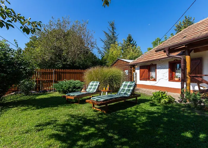 The Bird Of Happiness - Happy Nemesbükk